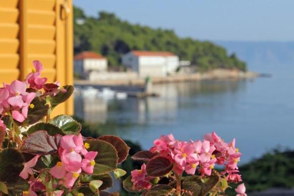 Villa Marga Jelsa  Dış mekan fotoğraf