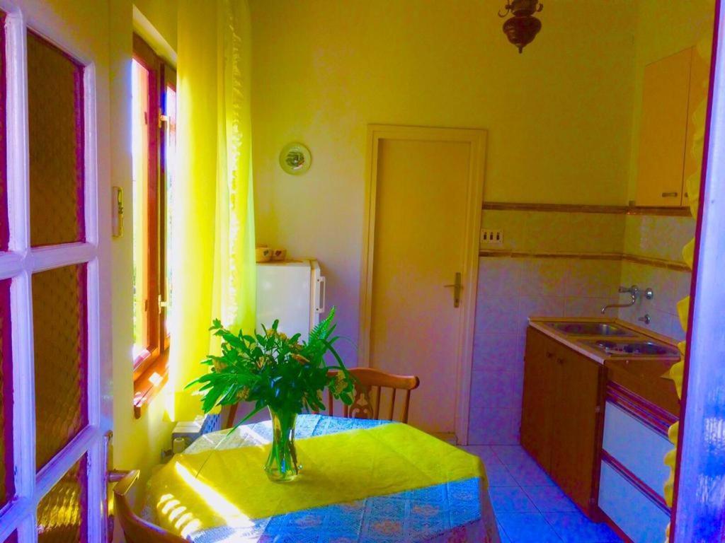 Villa Marga Jelsa  Dış mekan fotoğraf